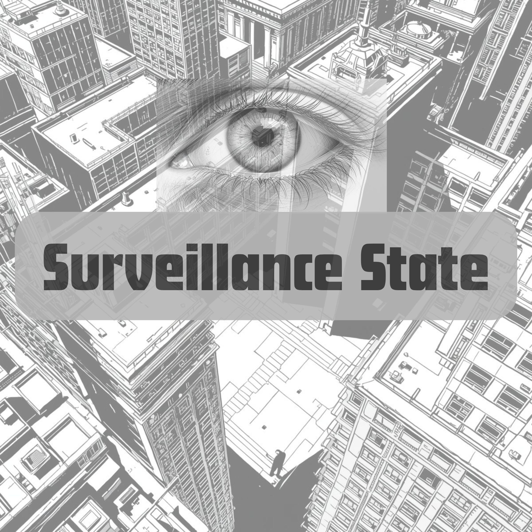 SURVEILLANCE STATE